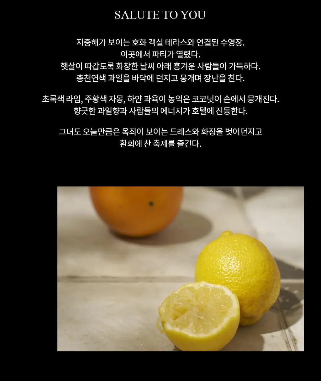호텔도슨 살룻투유 향수 오드퍼퓸 20ml [시트러스 블렌드향] 상세페이지 8